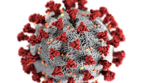 Punjab government issues public advisory amid spike in COVID-19 cases