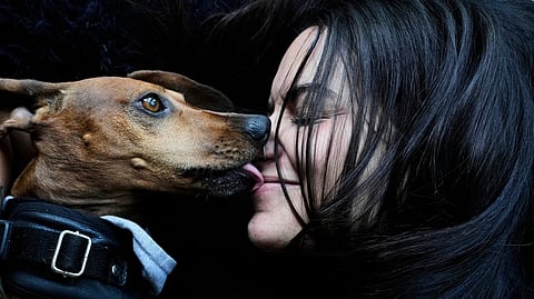 Magalí Maisonnave poses for a photo with her six-year-old dachshund Sandro, in Buenos Aires, Argentina, Sunday, April 6, 2025.