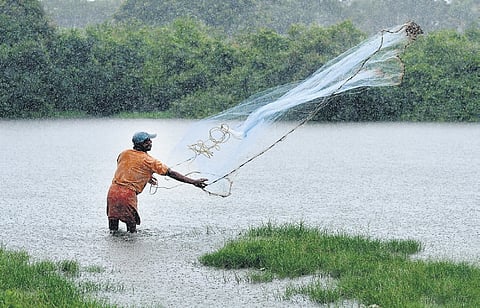 Undeterred by heavy rain, a man casts his fishing net. The intensifying rain over the past few days points to an early onset of monsoon. A scene from Vypeen in Kochi on Friday