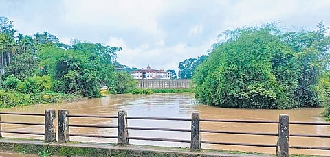 Following the onset of monsoon in Karnataka, water level in the Cauvery river has started to rise, as seen near Cheyyandane village in Kodagu on Sunday | Express