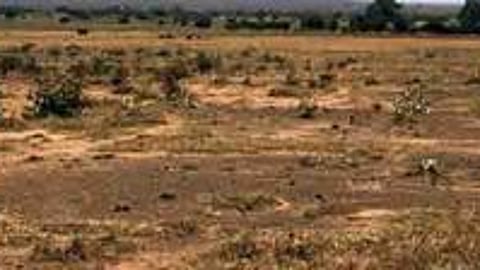 Image used for representational purposes only.