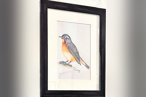 Exhibition showcased paintings of India’s avian life, particularly species from Western Ghats