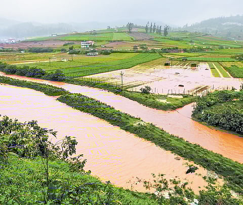 A view of the flooded Motorai Palada village near Ooty in Tamil Nadu, following heavy rainfall in the Nilgiris on Tuesday.