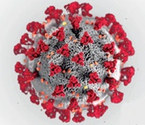 Delhi hospitals report rise in patients with flu-like symptoms