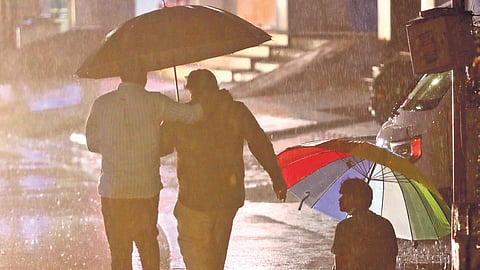 The forecast suggests that most regions will receive normal to above-normal rainfall.