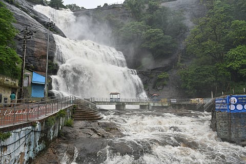 Image used for representative purposes only.