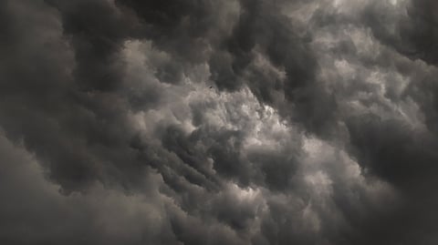 Films, literature, paintings, and musical notes drenched in the rains