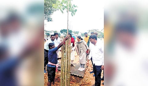 Around 2,000 saplings were planted at Arekere Lake in Bommanahalli recently.
