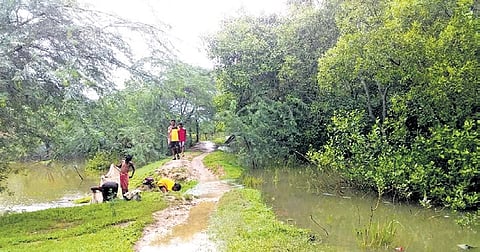 Former MLA of Kendrapara Kishor Tarei said seawater often enters the coastal villages due to non-repair of saline embankments and construction of sub-standard sluice gates.
