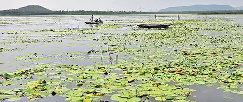 A view of the Kondakarla Ava lake in Anakapalle district.