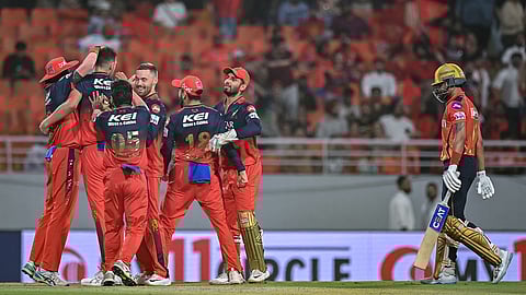 RCB players celebrate a wicket against Punjab Kings in Qualifier 1 on Thursday