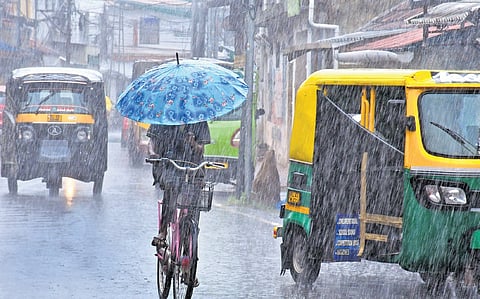 A man cycles along a road amid heavy rain at Mattanchery in Kochi.