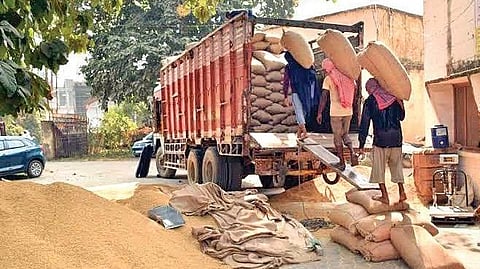 Paddy being loaded in a truck in Bisra block of Sundargarh. Image used for representational purposes only.