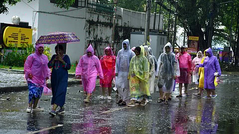 43.6 per cent of India’s net sown area lacks irrigation