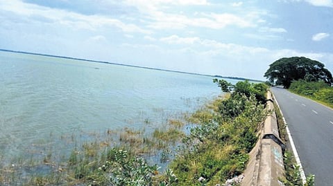 Veeranam Lake in Cuddalore.
