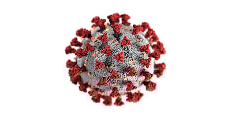 The state health department has tested 20,468 samples since January 1 this year, out of which 2,108 returned positive.