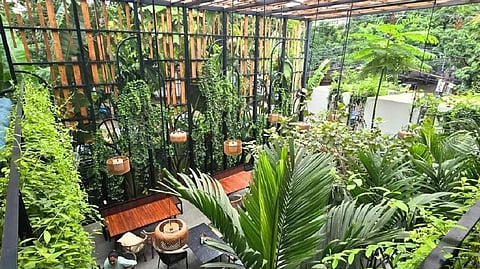 The Bougainvillea Hyderabad