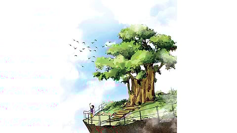 Overall, the proposal includes plantation of 3.22 lakh trees and 3.96 lakh shrubs at various locations under the South and West forest divisions.