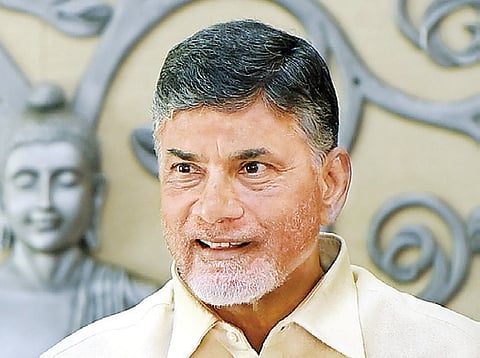 Andhra Pradesh: CM vows to support tobacco and horticulture farmers