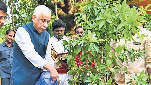 Governor S Abdul Nazeer planted a Sapota (Sapodilla) sapling in the Raj Bhavan lawns on World Environment Day, on Thursday, June 5, 2025.