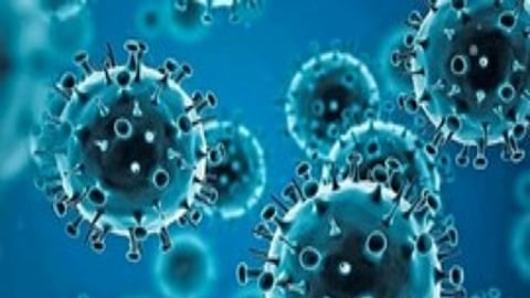 Director of health services Dr Amarendra Nath Mohanty said, “Those having symptoms of Covid-19 should refrain from attending Rath Yatra congregations