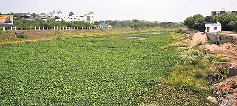 The project aims to enhance water quality by eliminating illegal sewage discharge, improving flood resilience, and creating green public spaces along the riverbanks.