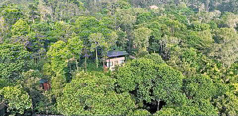 Located at Sakleshpur, it’s a space where you can thrive, away from concrete jungles, a space which you must at some point of time crave to run away and hide in