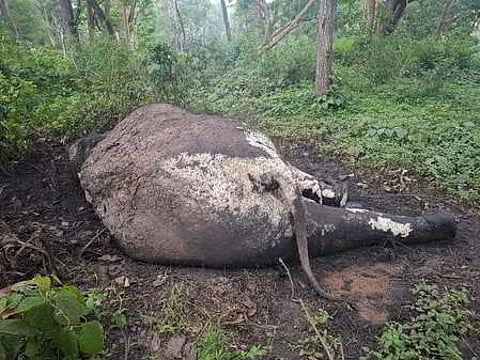 Mahanta has been asked to explain within 15 days why he should not face disciplinary action.