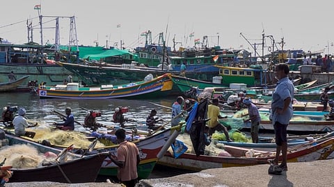 Small-scale fishermen in Kasimedu