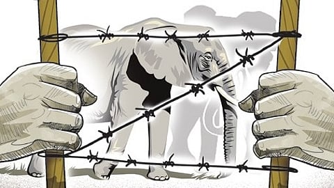 Representative image of electric fence.