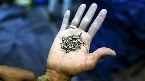 Image of loose tobacco used for representational purposes only.