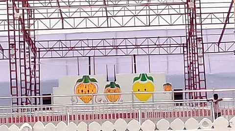 The skeletal structure of Snana Bedi at Shree Jagannath temple.