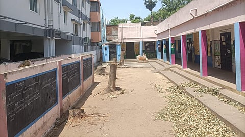 The move has drawn criticism from environmentalists, parents, and civic groups, especially as it came just days before World Environment Day ( June 5),