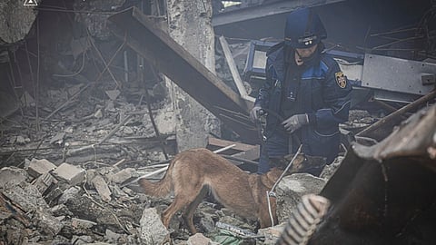 A rescuer and his dog search for victims following a Russian rocket attack in Kharkiv, Ukraine, Tuesday, Tuesday, June 10, 2025