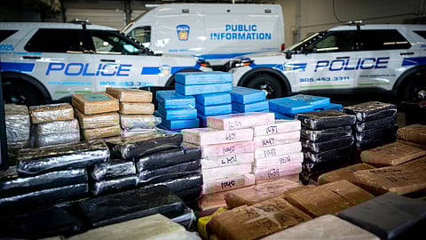 Between February and May this year, intelligence led to major drug seizures at the Ambassador Bridge in Windsor (127 kg) and the Blue Water Bridge in Point Edward (50 kg), both hidden within commercial truck trailers