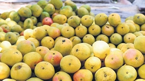 Image used for representational purposes only.