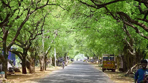 A major expectation is the revamp of public parks, gardens, and roadside green belts. Residents want these spaces to be more accessible and better equipped, with clean, pothole-free pathways, adequate seating, and proper lighting.