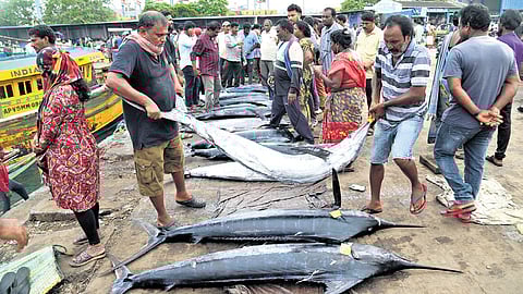 Fishermen return with a bountiful catch of fish in Vizag on Sunday.