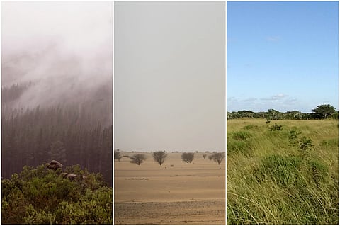 This combination of 2007, 2018 and 2012 photos shows, from left, the Cederberg mountain range in South Africa, the Tenere desert in Niger and savanna in South Africa.