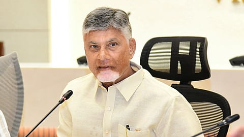 Andhra Pradesh Chief Minister N Chandrababu Naidu.