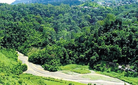 But after the launch of the movement, the ZRF began campaigning within and outside Mizoram for the river’s restoration and conservation.