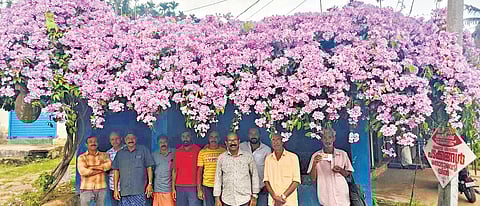 The bus stop at Nambikolly is in stark contrast to stops that leak in the monsoon season or cause inconvenience to people due to damaged roofs or broken electrical wires.
