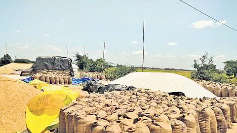 Image used for representation purposes only.