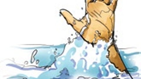 Representative image