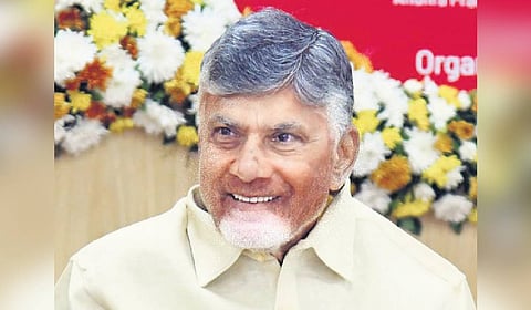 Chief Minister N Chandrababu Naidu
