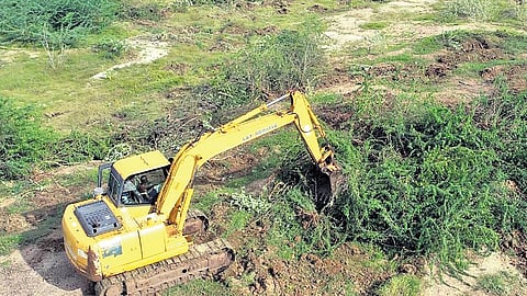 The majority of the tanks are located in the Madurai region covering Sivaganga, Ramanathapuram and Virudhunagar districts.