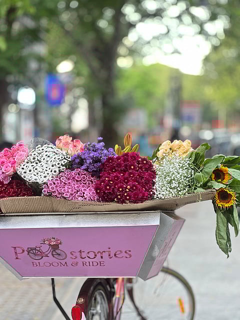 Conversations with flowers