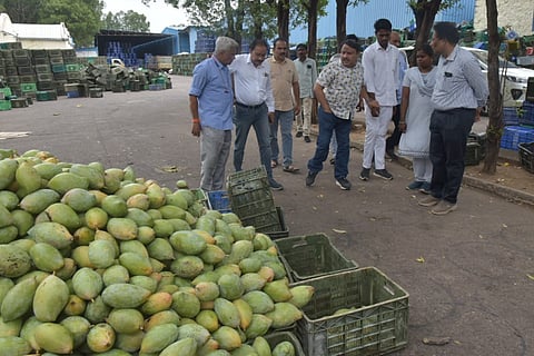 Chittoor district Collector Sumit Kumar and director of horticulture and sericulture Dr K Srinivasulu interacting with mango farmers