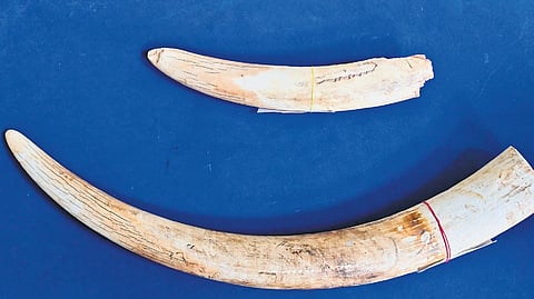 The items confiscated by the police kept for display