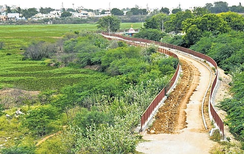 A nearly dried-up RK Puram lake in Hyderabad